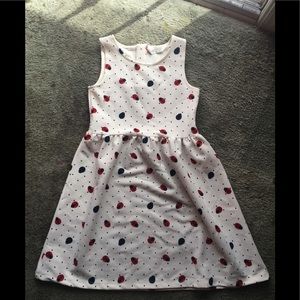 Barely used lady bug dress